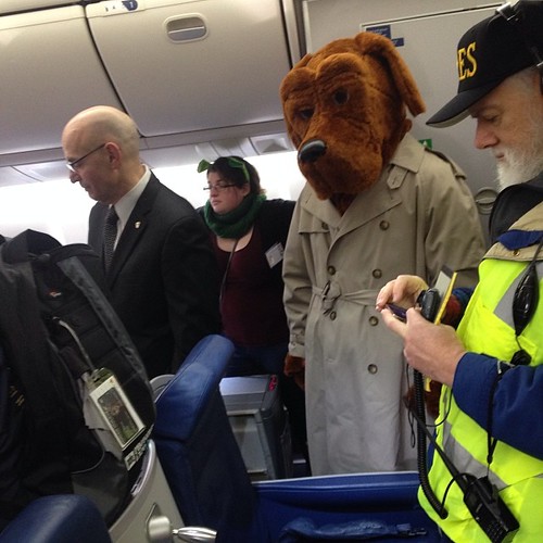 Dogs on Airplanes